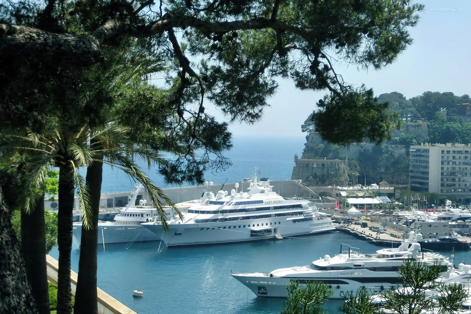 Monte Carlo, Port, Jachty
