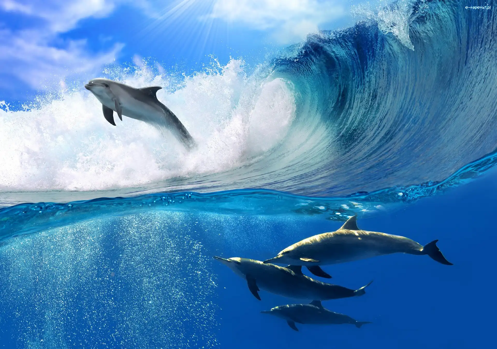 Fale, Morze, Delfiny