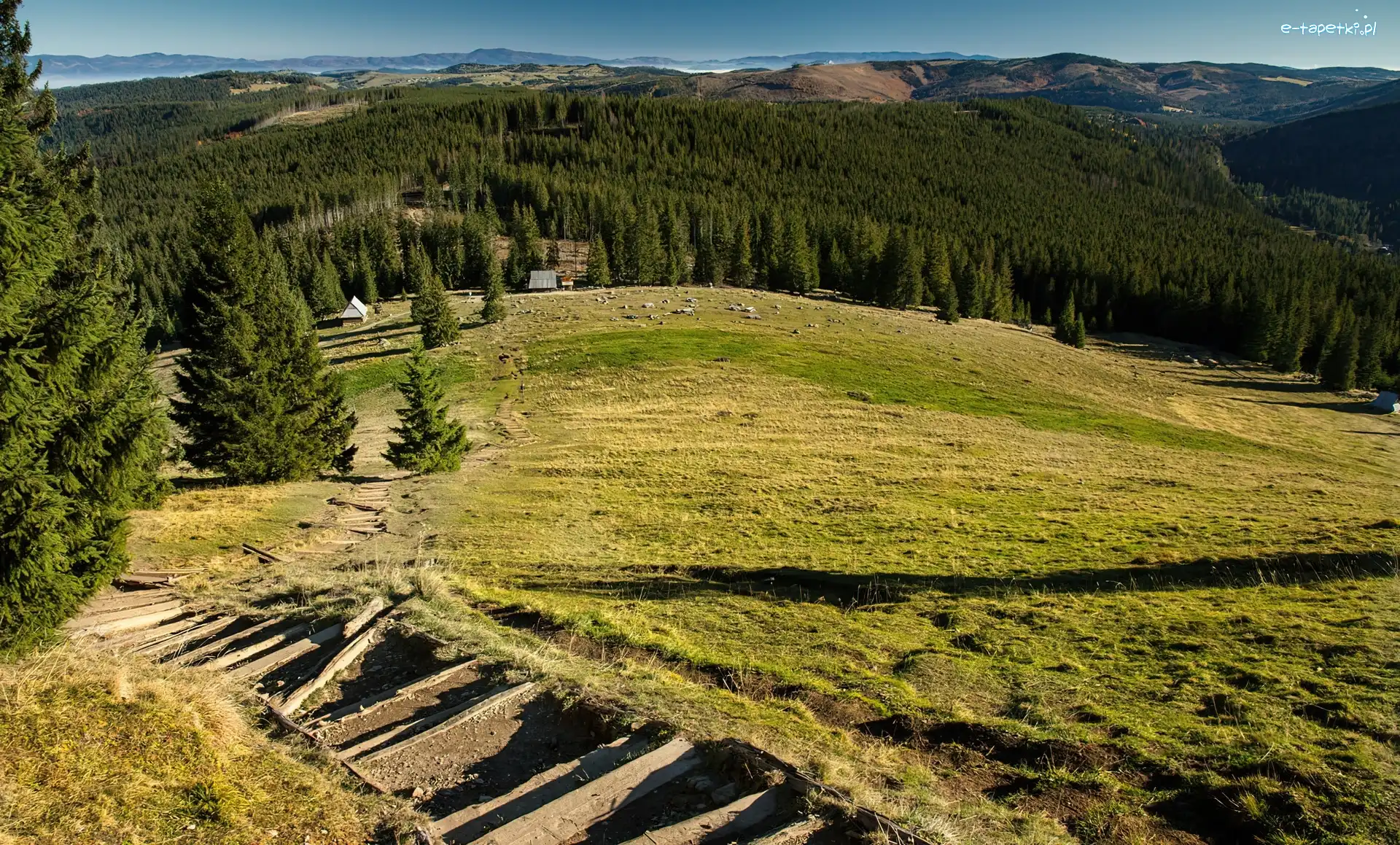 Beskidy, Góry, Polana