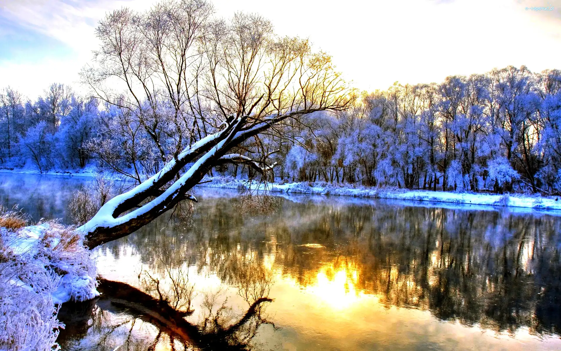 Śnieg, Jezioro, Drzewa