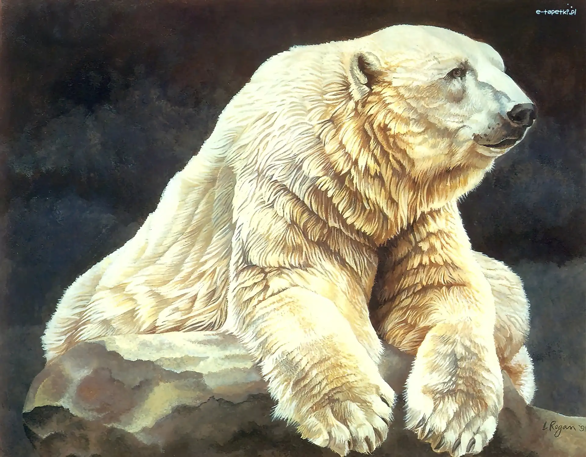 Malarstwo, Polarny, Niedźwiedź
