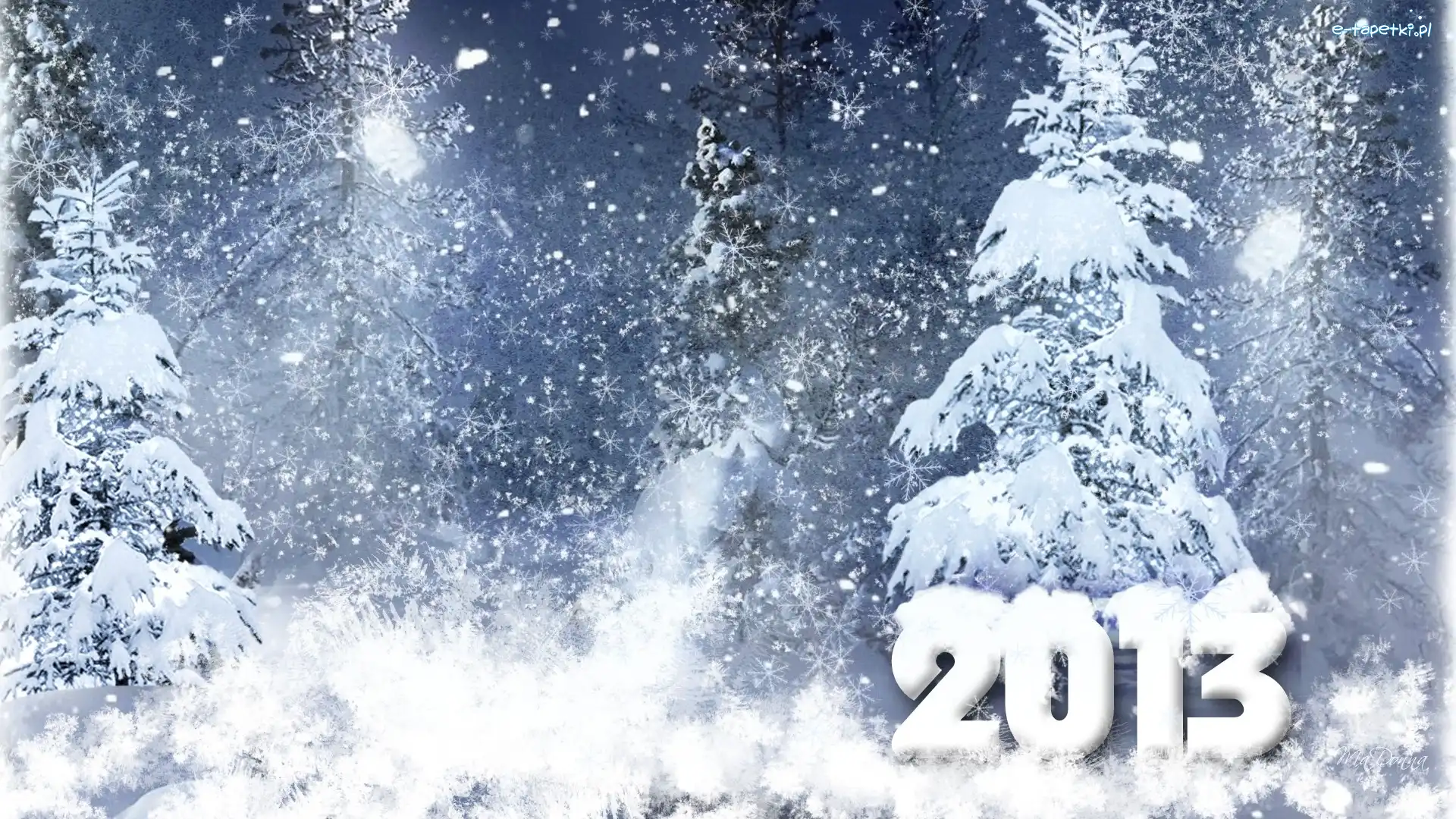 Śnieg, Nowy Rok 2013, Zima, Drzewa