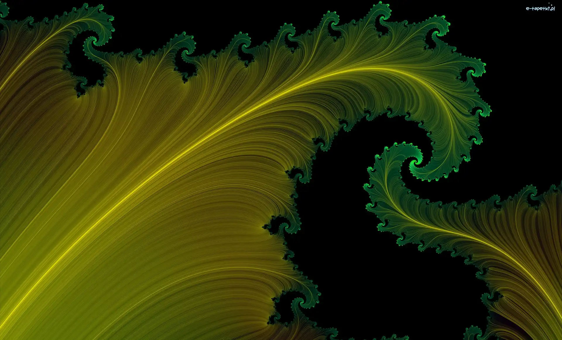 Abstrakcja, Spiralny, Fraktal, Grafika