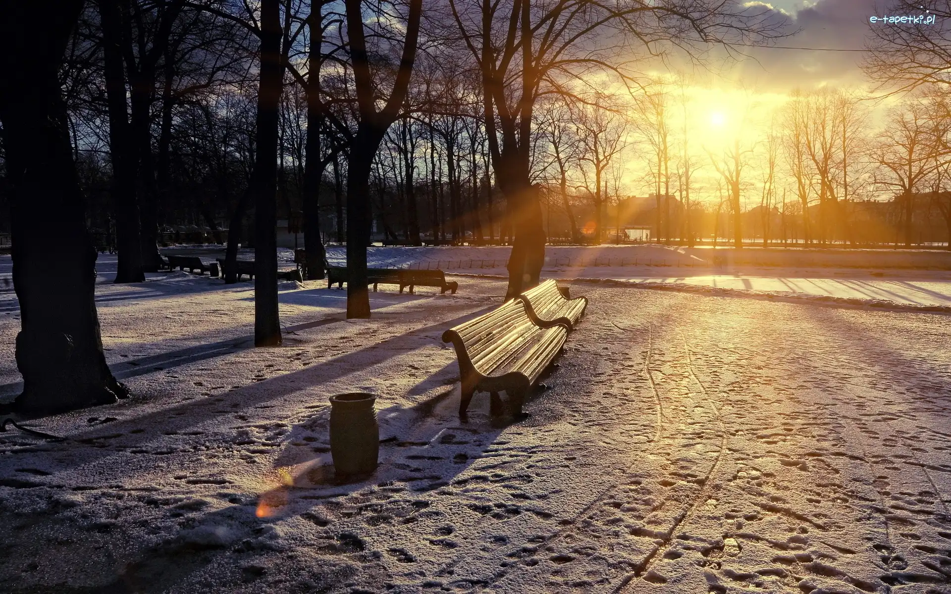 Ławki, Przebijające, Słońce, Drzewa, Zima, Park