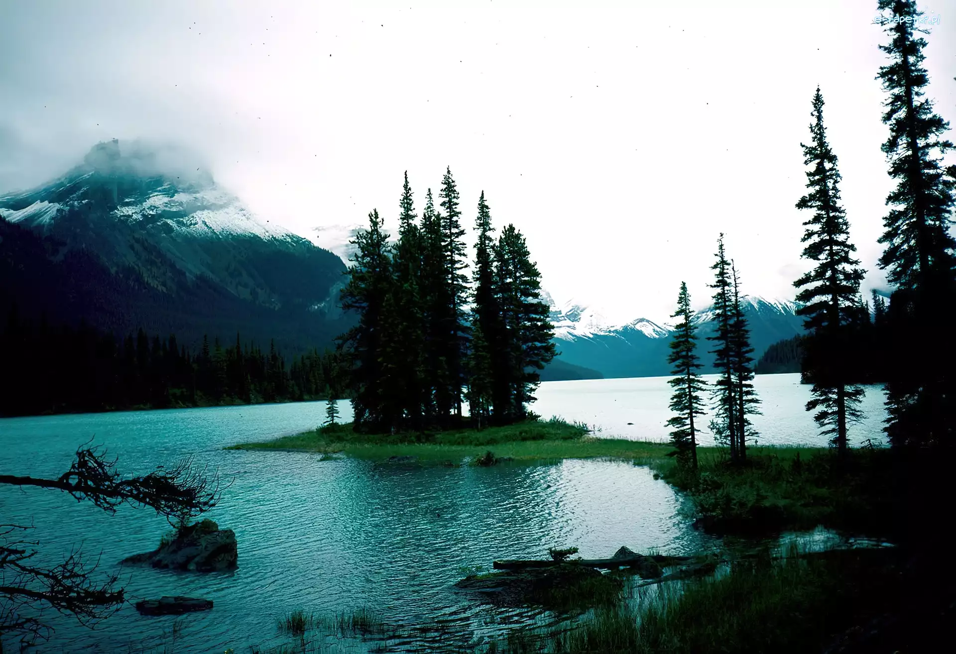 Jezioro, Góry, Wysepka, Alberta, Drzewa