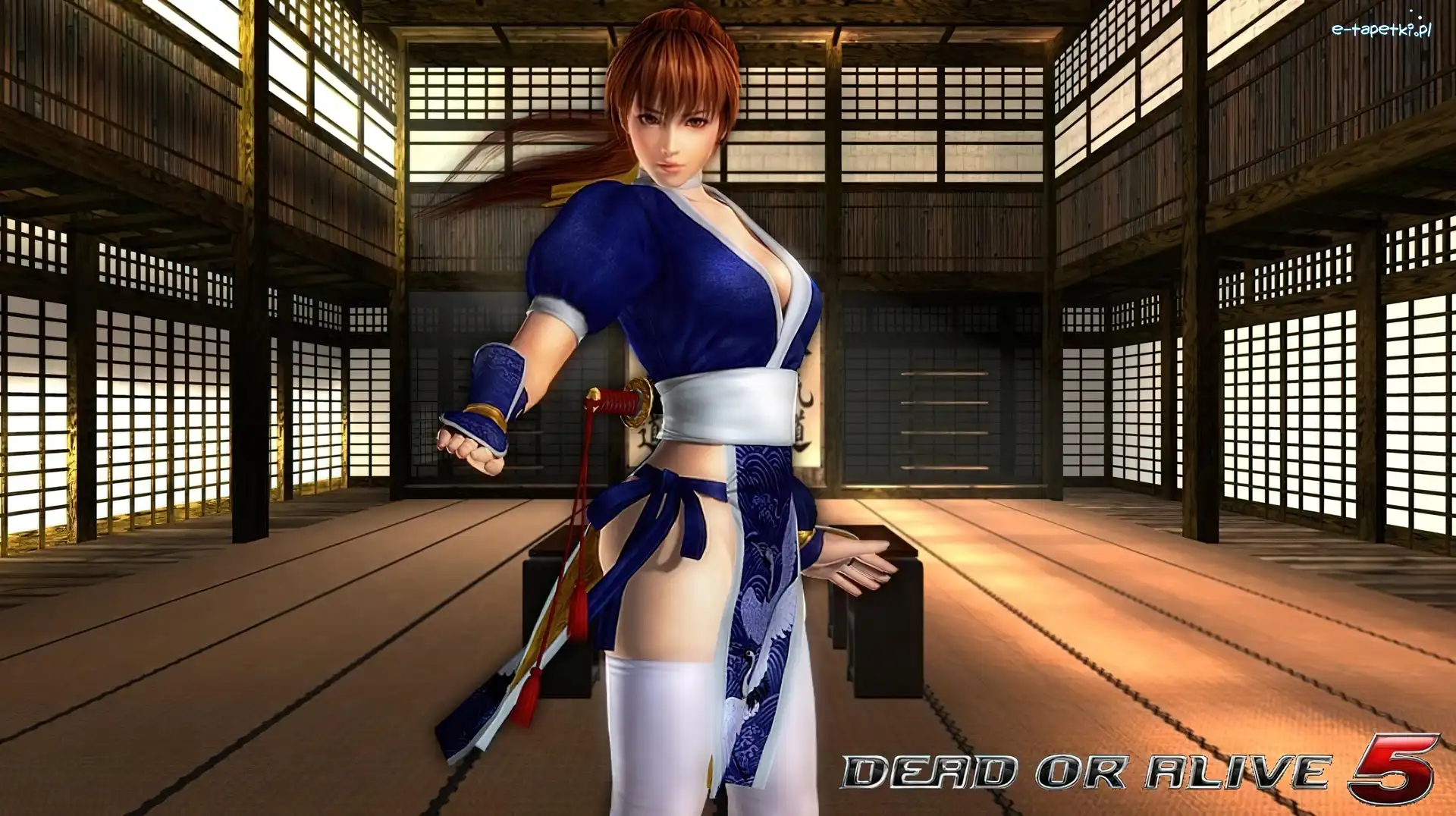 Kasumi, Dead Of Alive 5