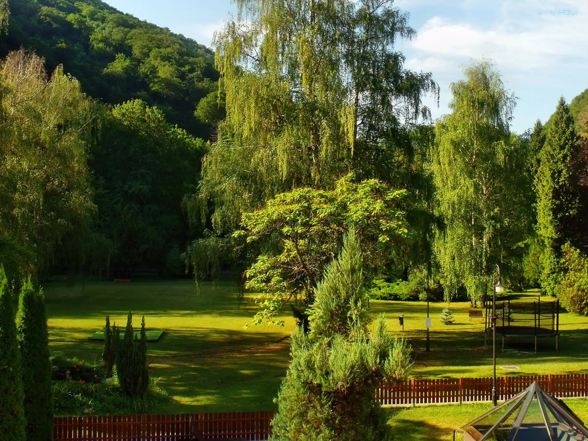 Płotek, Lato, Zieleń, Park