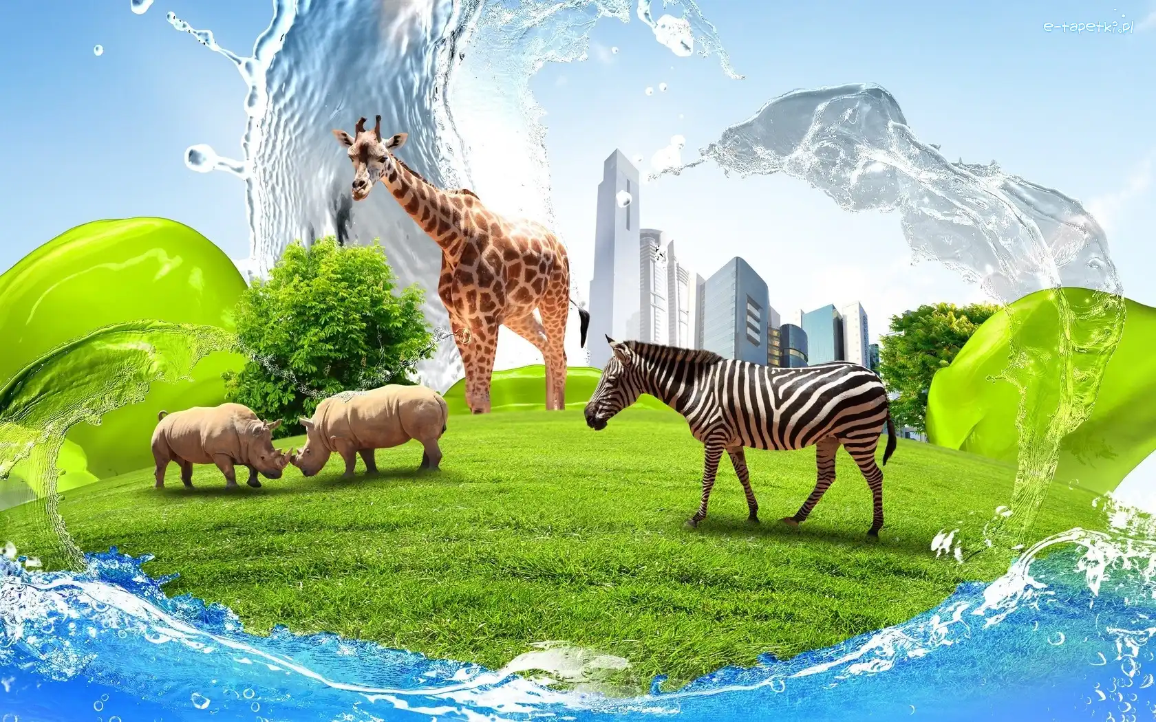 Chmur, Nosorożce, Drapacze, Trawa, Żyrafa, Zebra