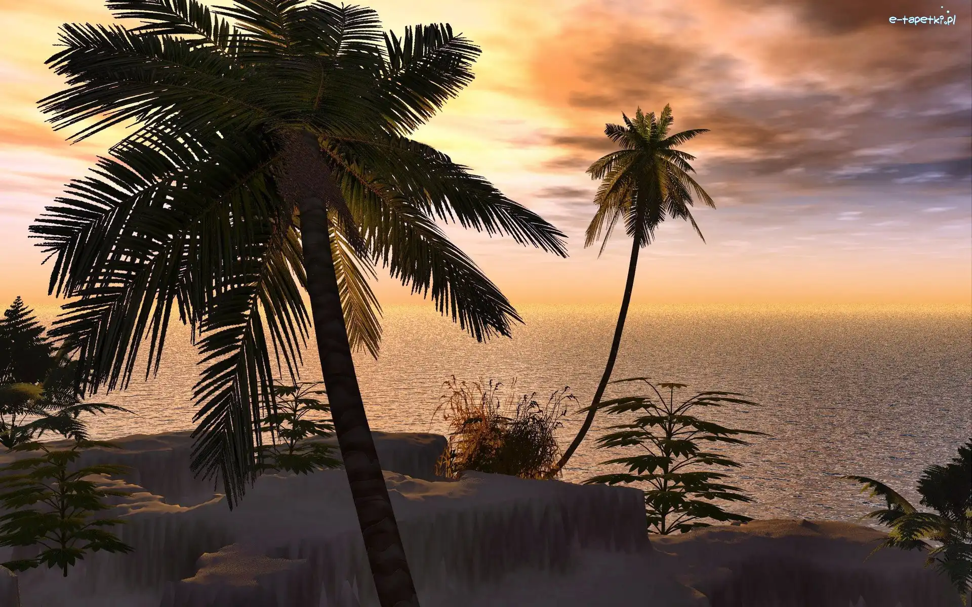 Zachód, Ocean, Słońca, Tropik, Palmy