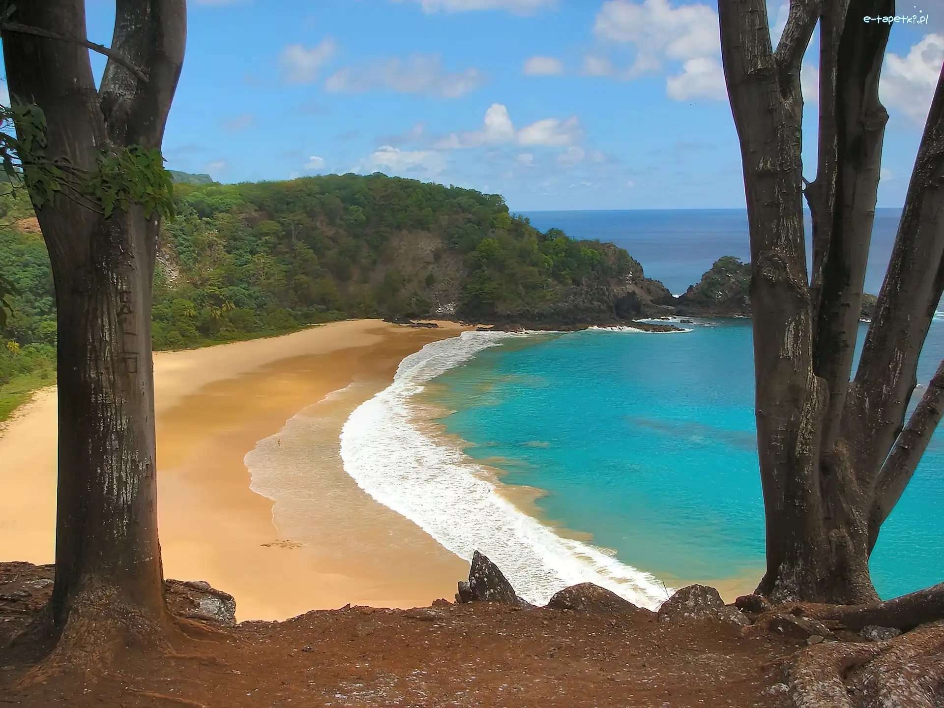 Plaża, Las, Morze, Brazylia, Fernando Noronha