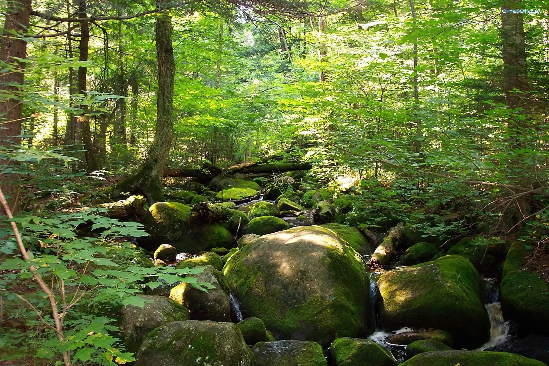 Nowy York, Adirondack, Kamienie