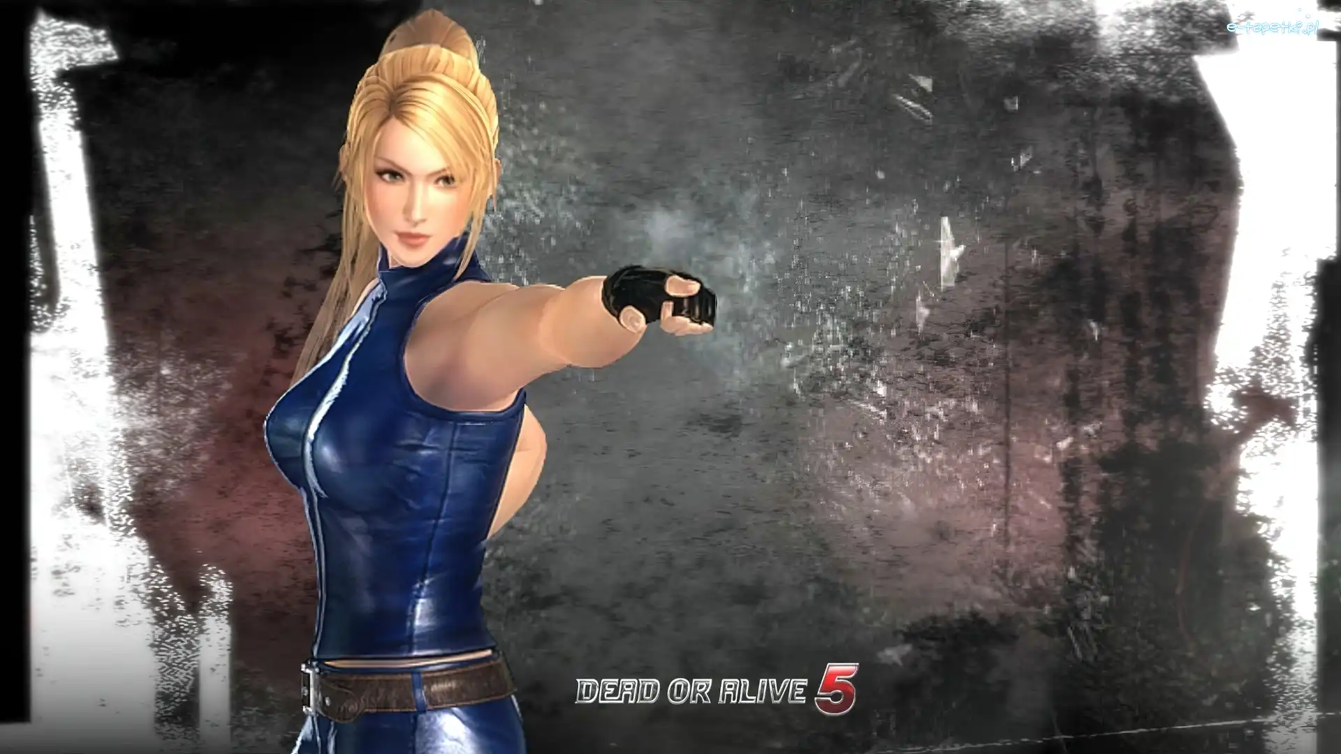 Sarah Bryant, Dead Of Alive 5