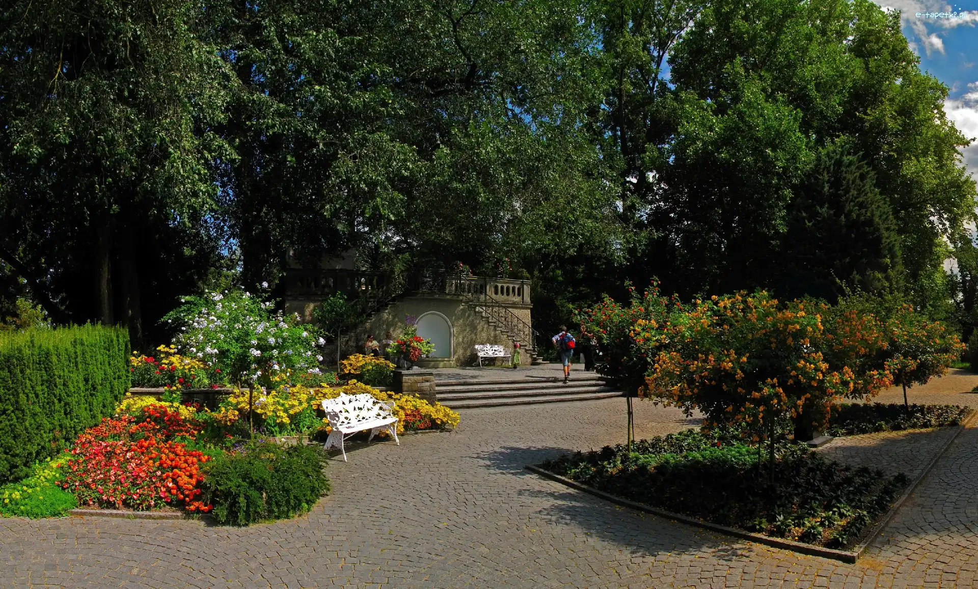 Drzewa, Ławka, Kwiaty, Park