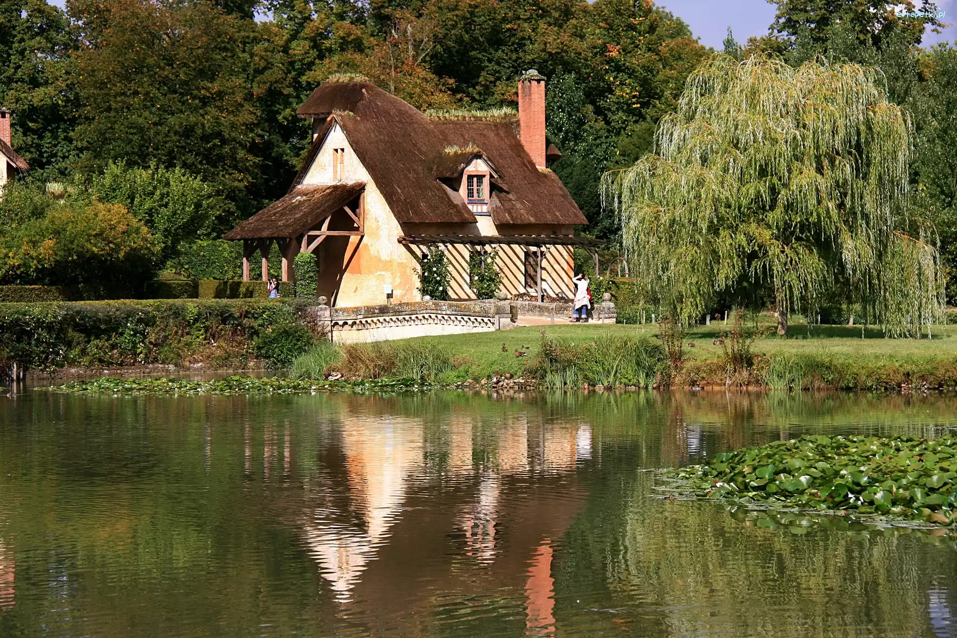 Staw, Drzewa, Dom