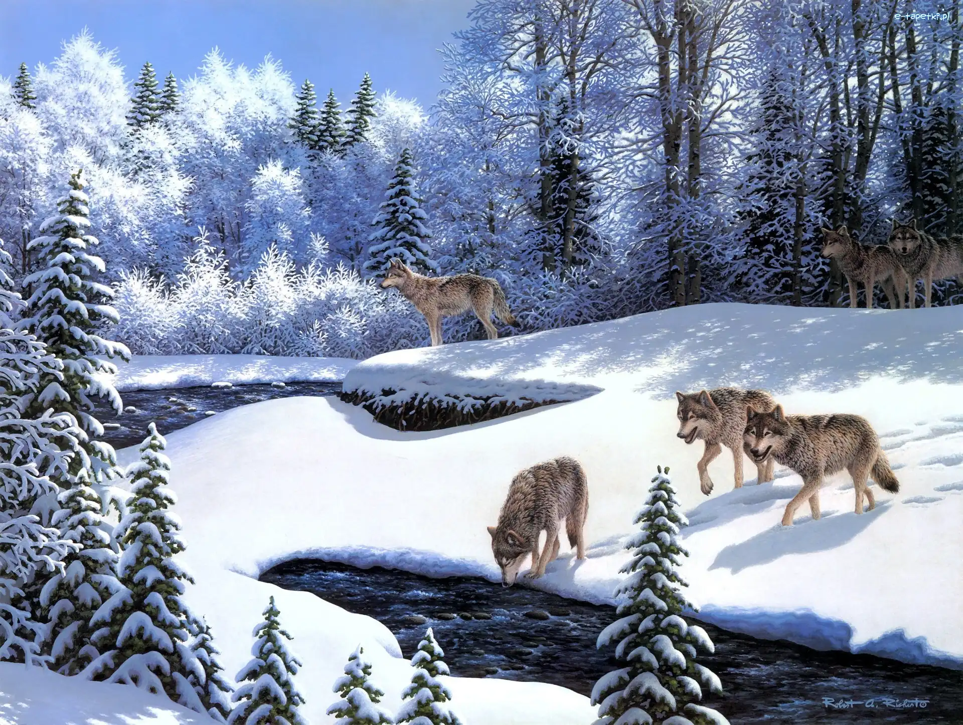 Zima, Rzeka, Las, Robert Richert, Wilki