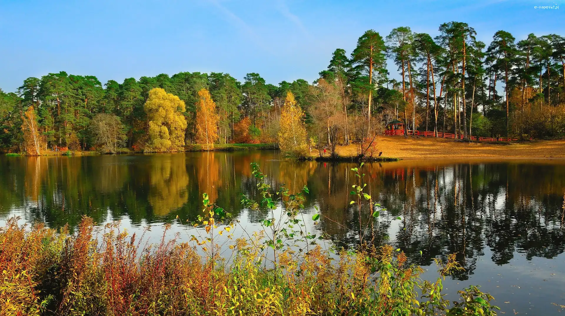 Park, Jezioro, Jesień