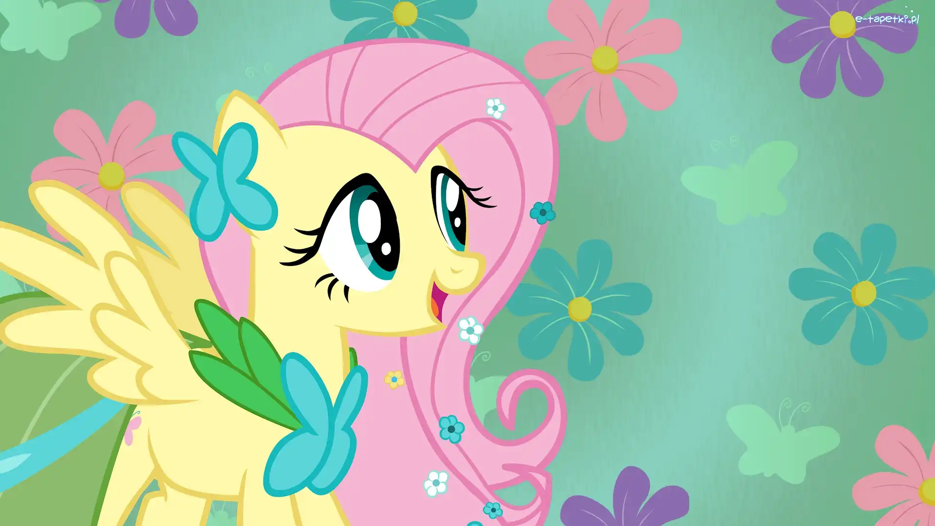 Fluttershy, Przyjaźń To Magia