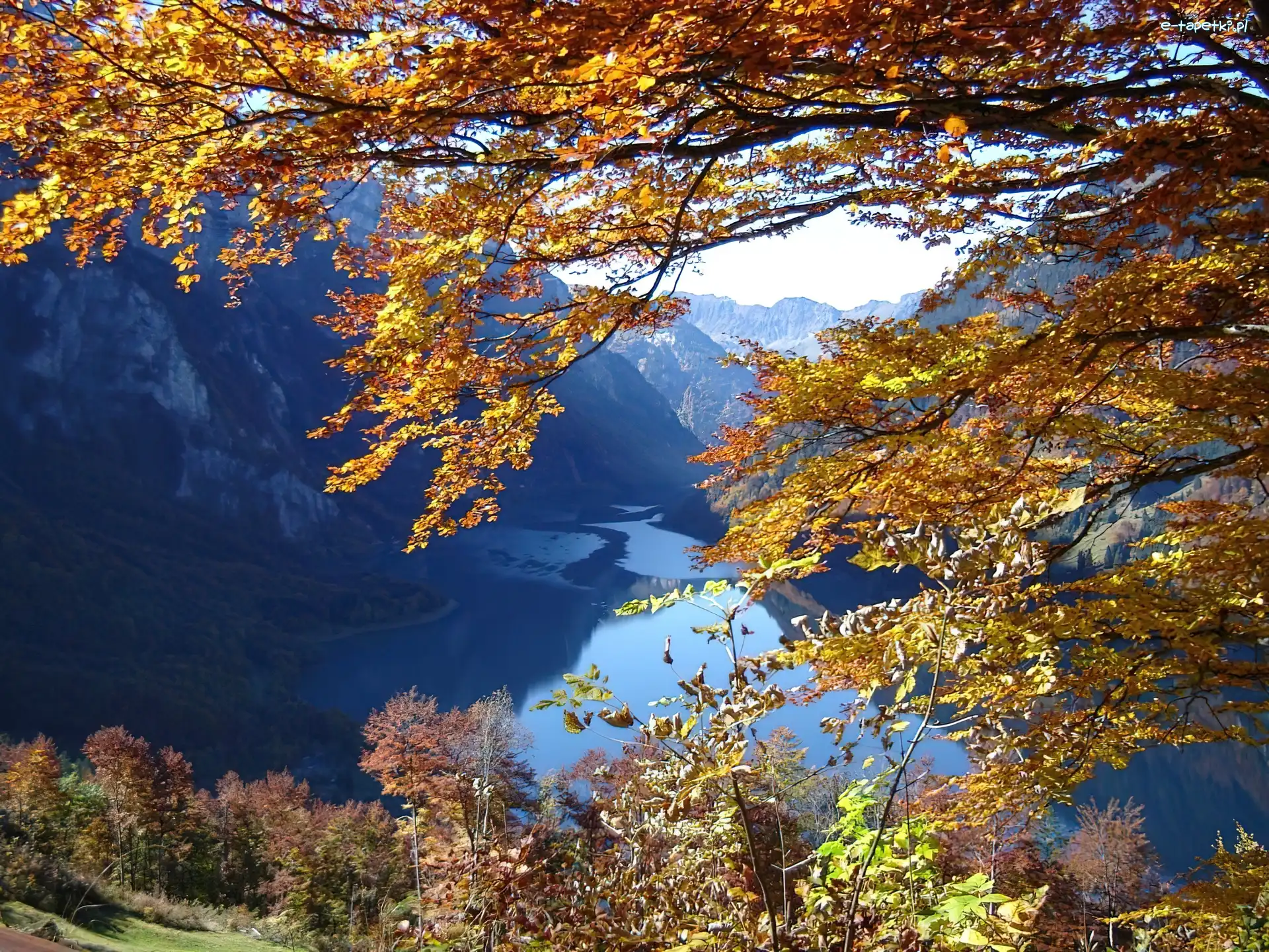 Jezioro, Gałęzie, Góry, Szwajcaria, Glarus