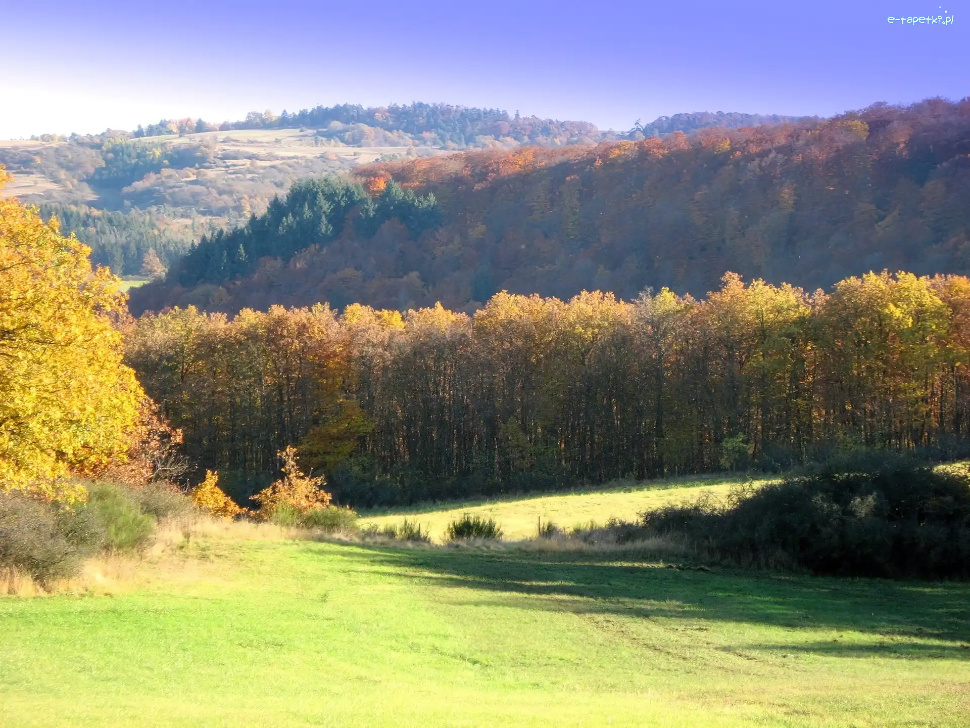 Łąka, Las, Góry