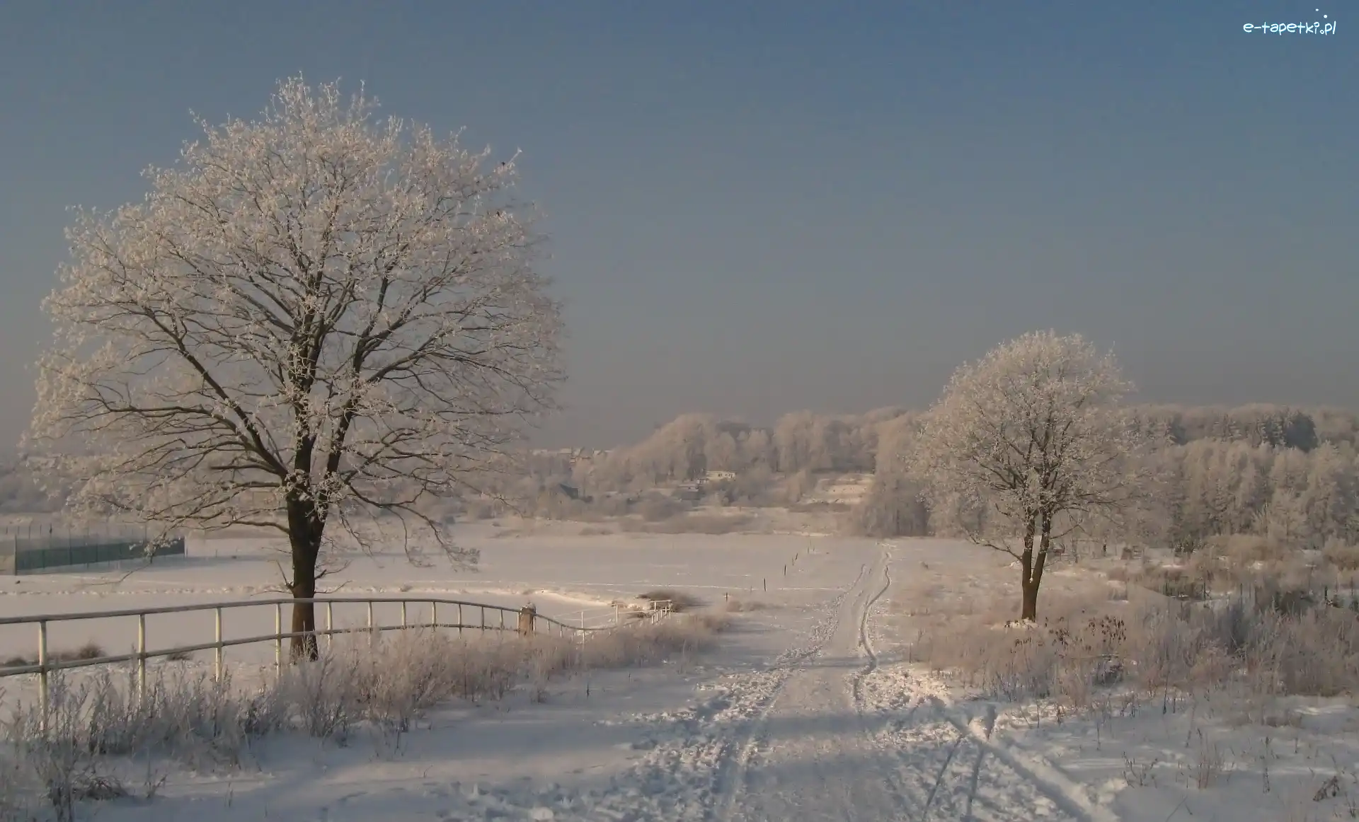 Śnieg, Droga, Polna, Zima