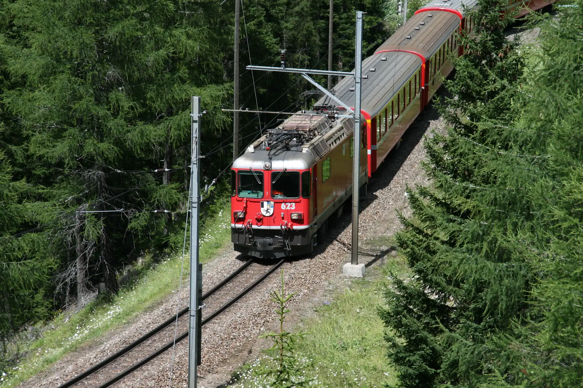 Las, Elektryczny, Pociąg