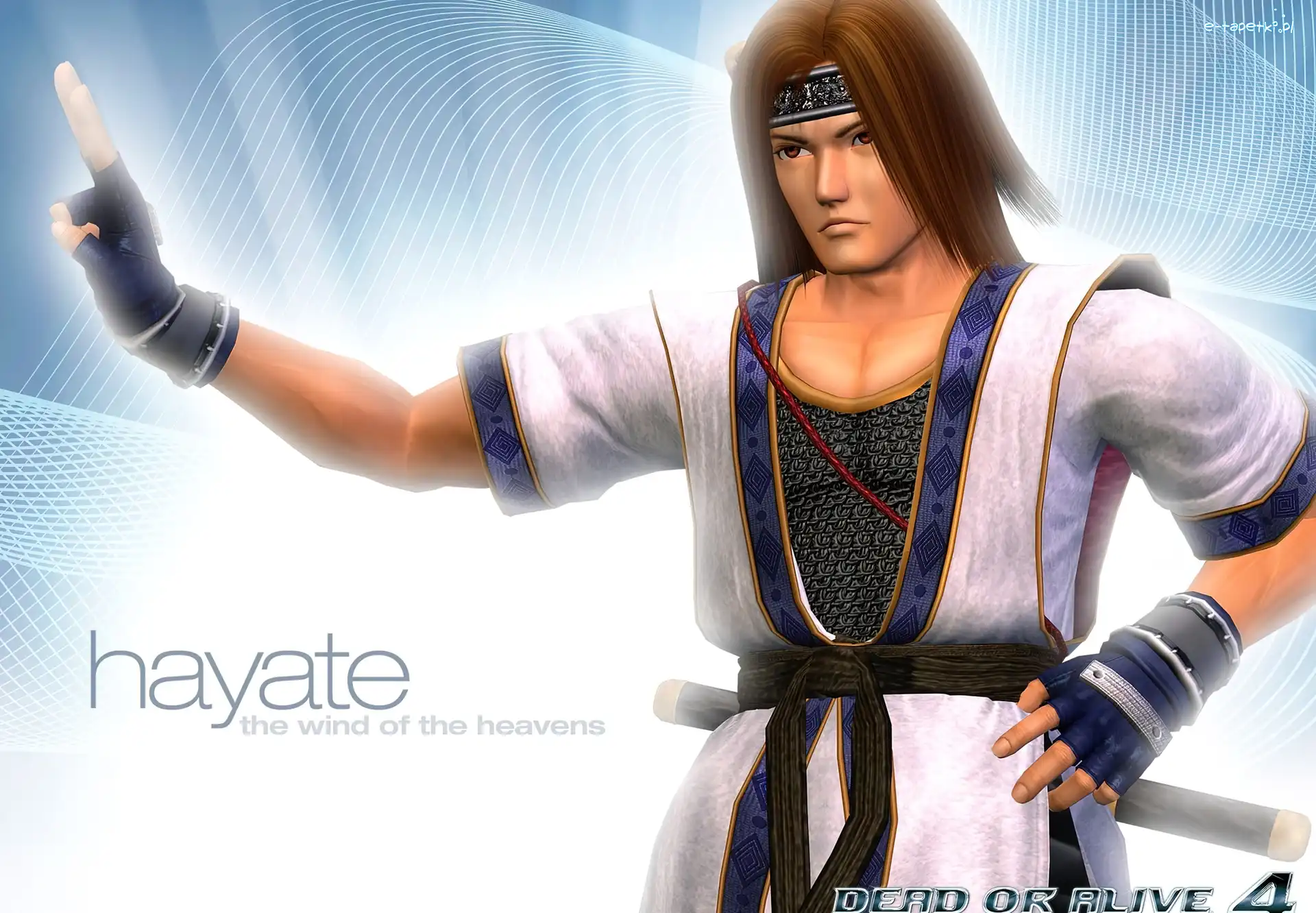 Hayate, Dead or Alive 4