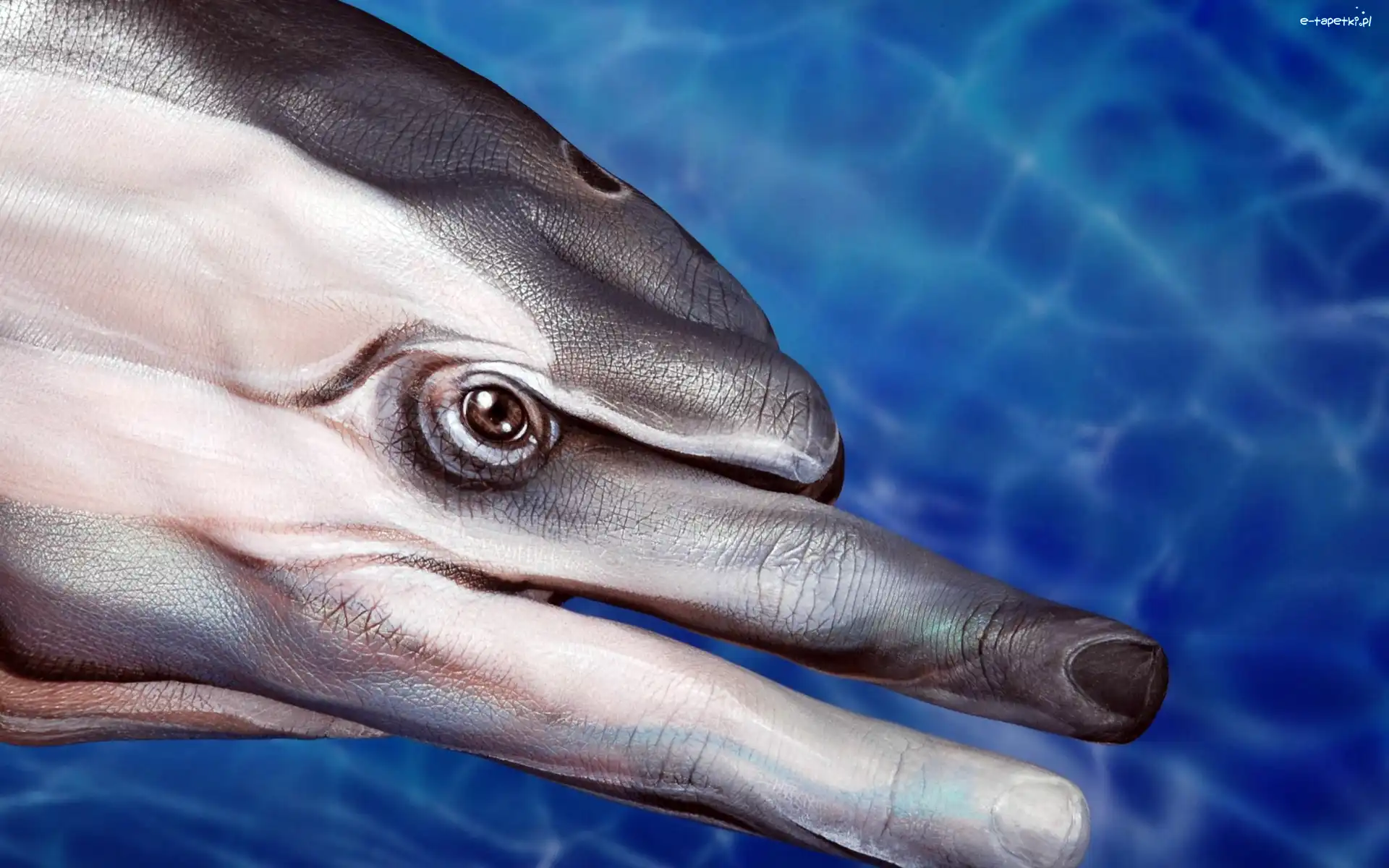 Palce, Delfin, Bodypainting