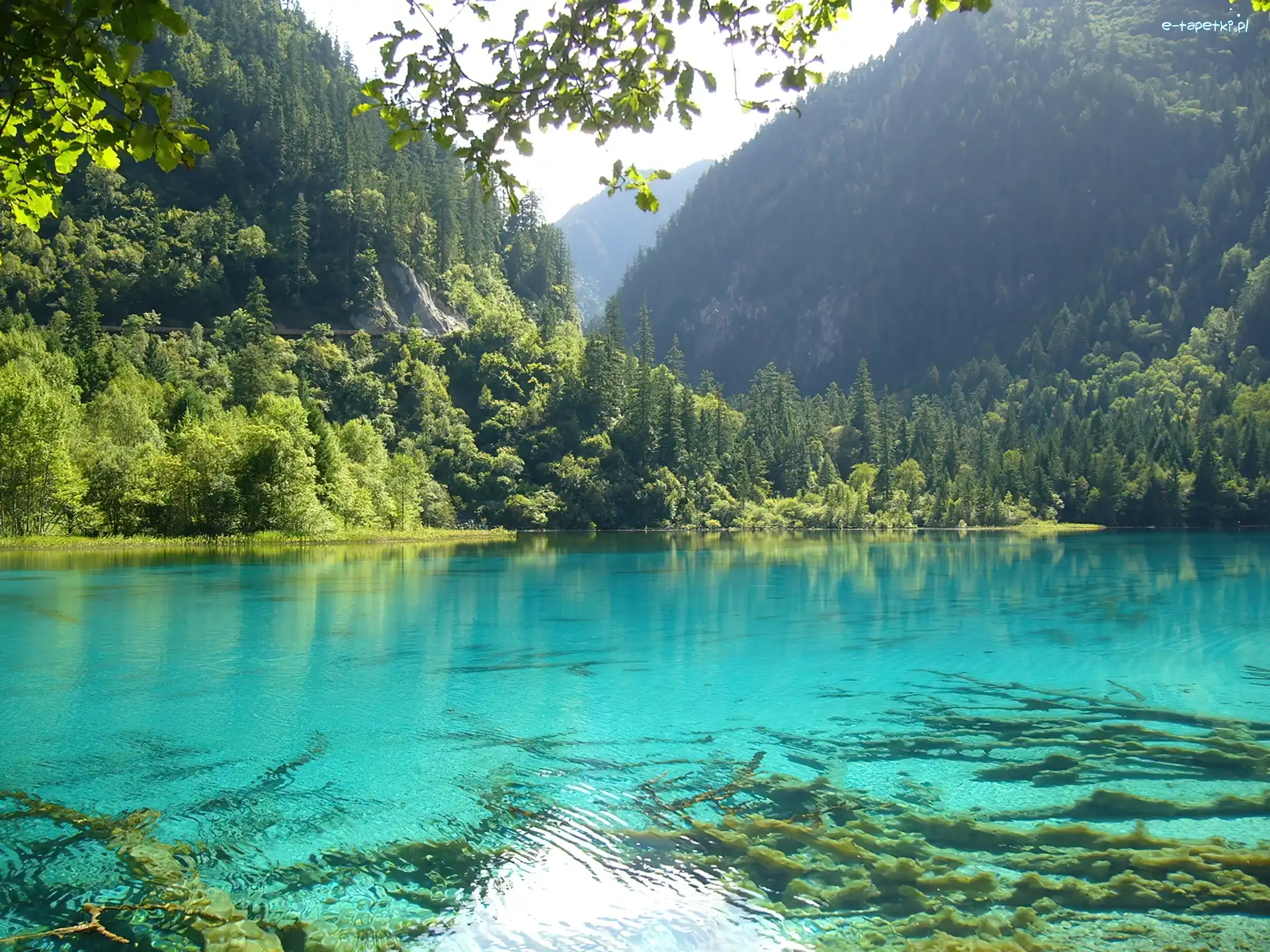 Góry, Zalesione, Jezioro