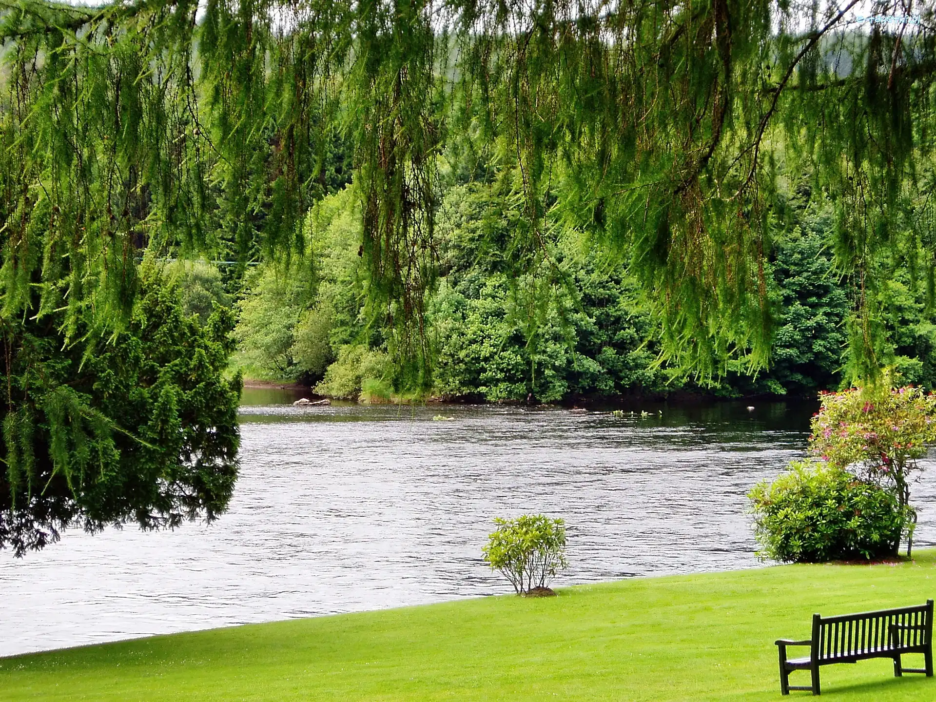 Jeziorko, Zieleń, Ławka, Park