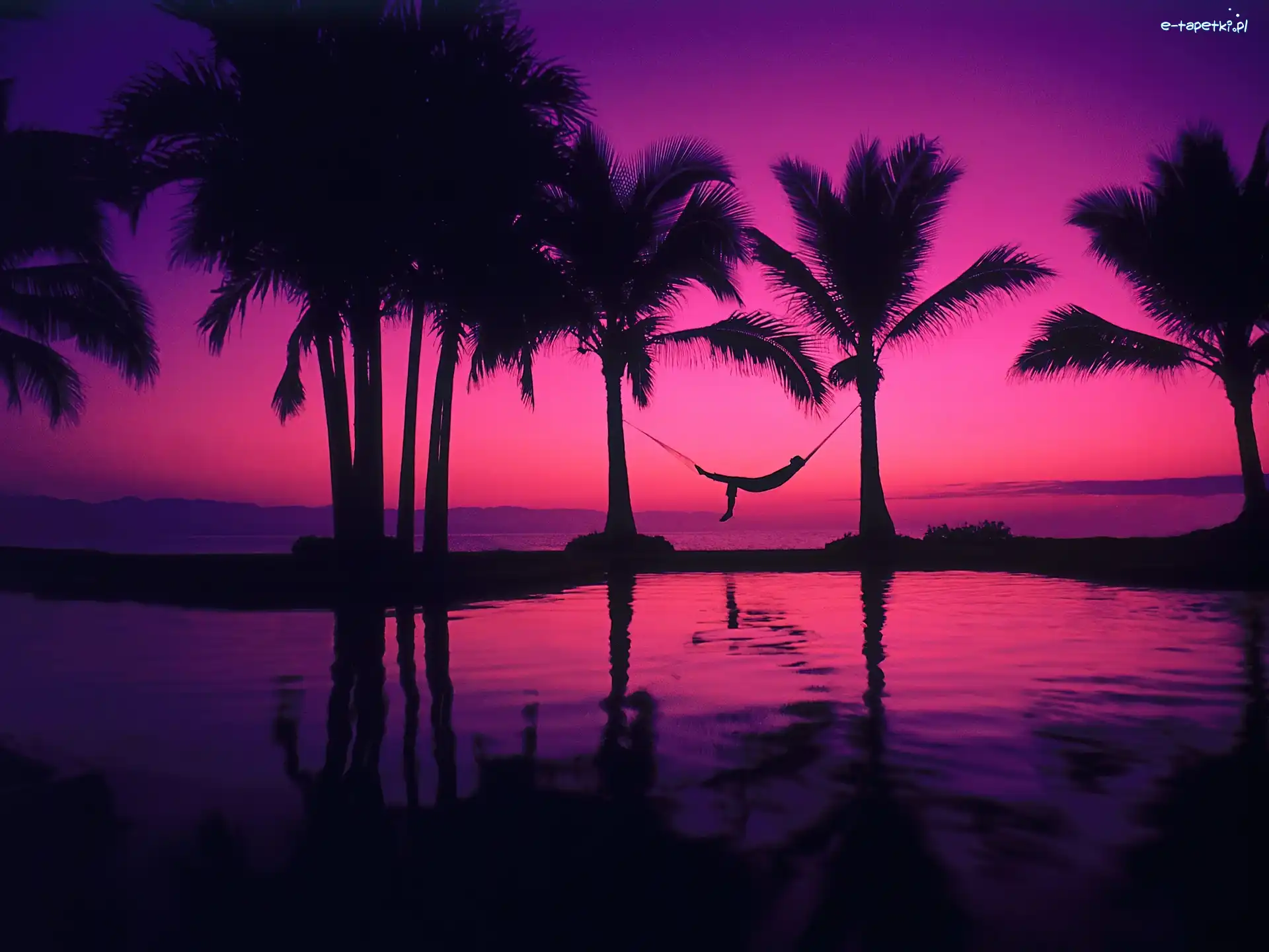 Puerta, Meksyk, Vallarta, Zatoka