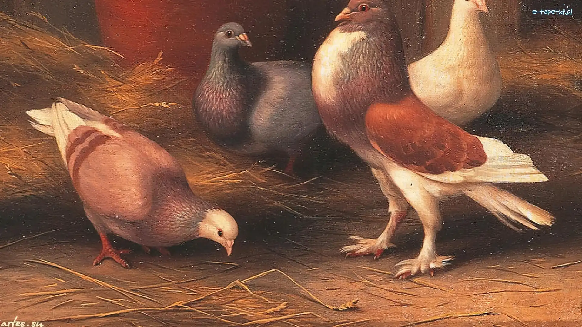 Gołębie, Edgar Hunt