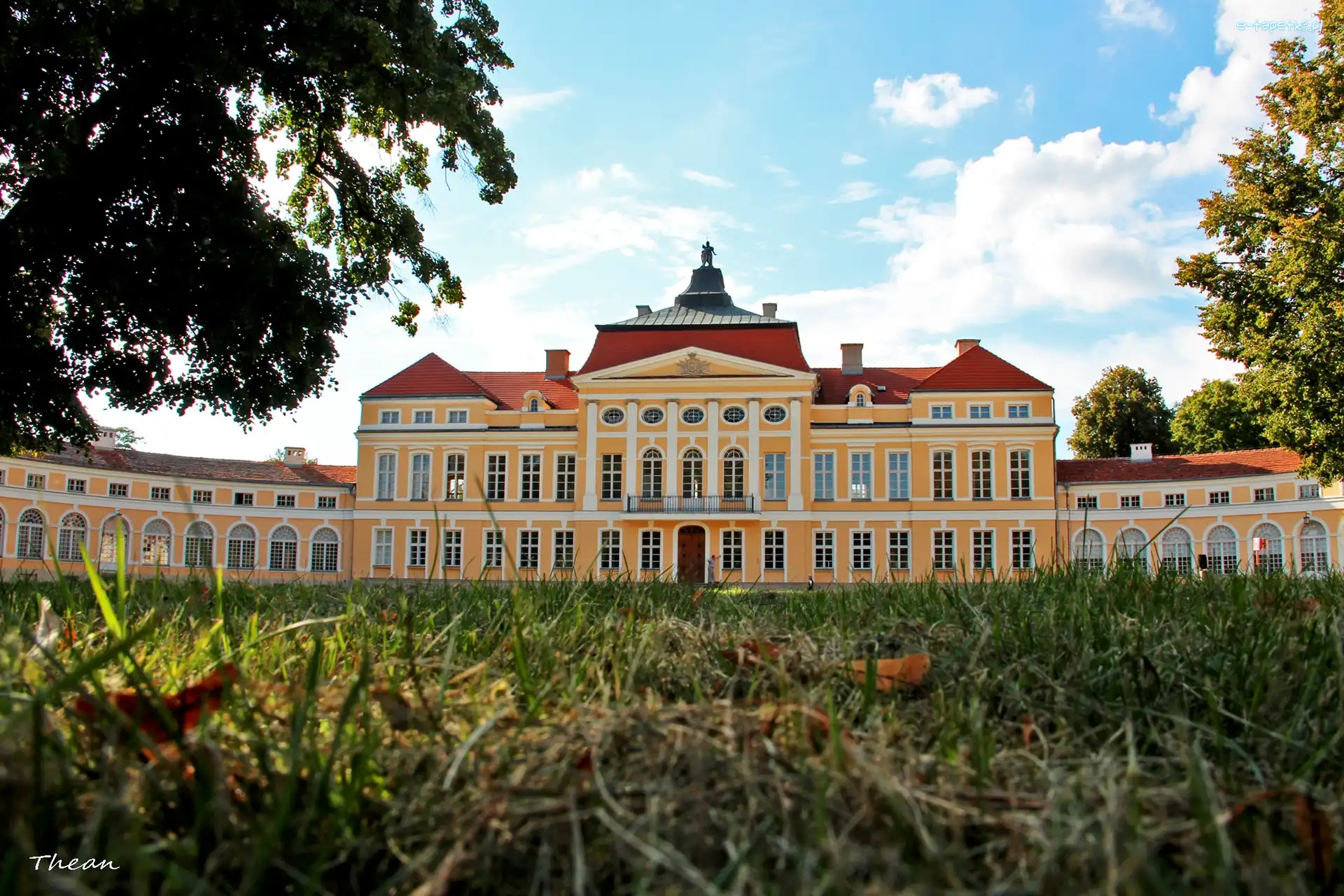 Rogalinie, W, Pałac