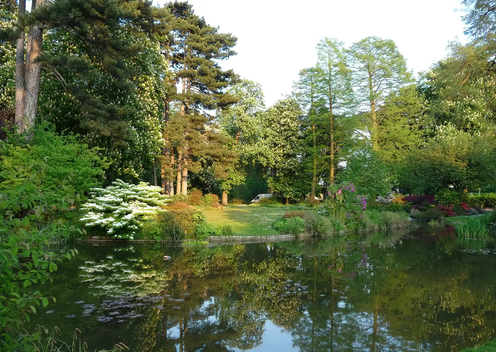 Jeziorko, Park, Ogród