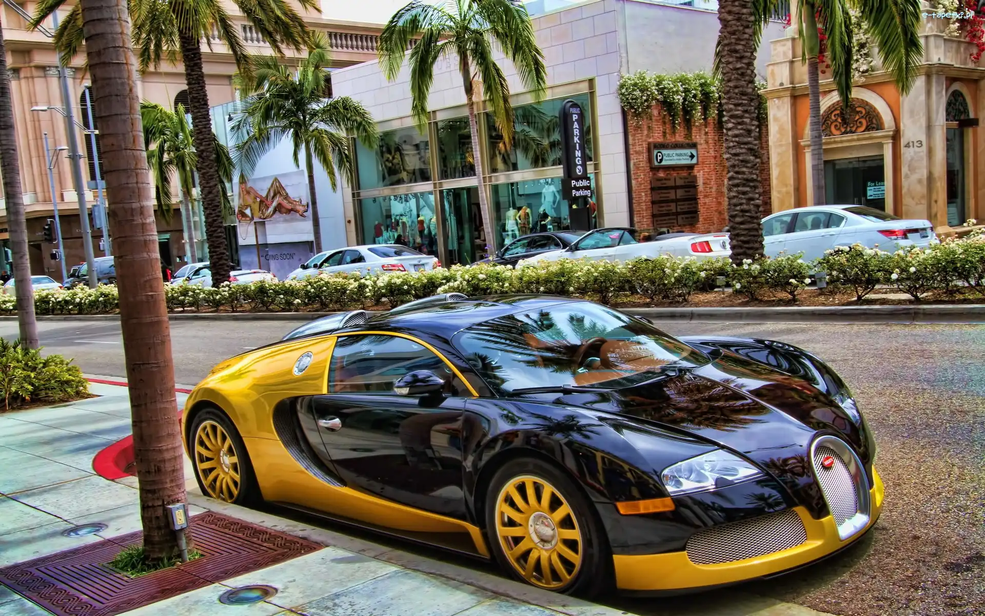 Bugatti Veyron EB 16.4, Piękne