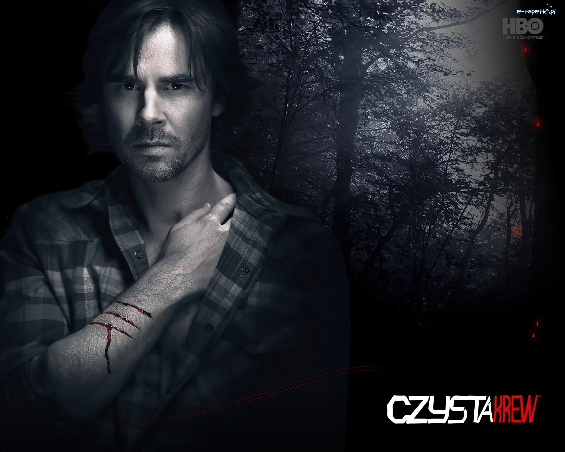Sam - Sam Trammell, True Blood, Czysta krew