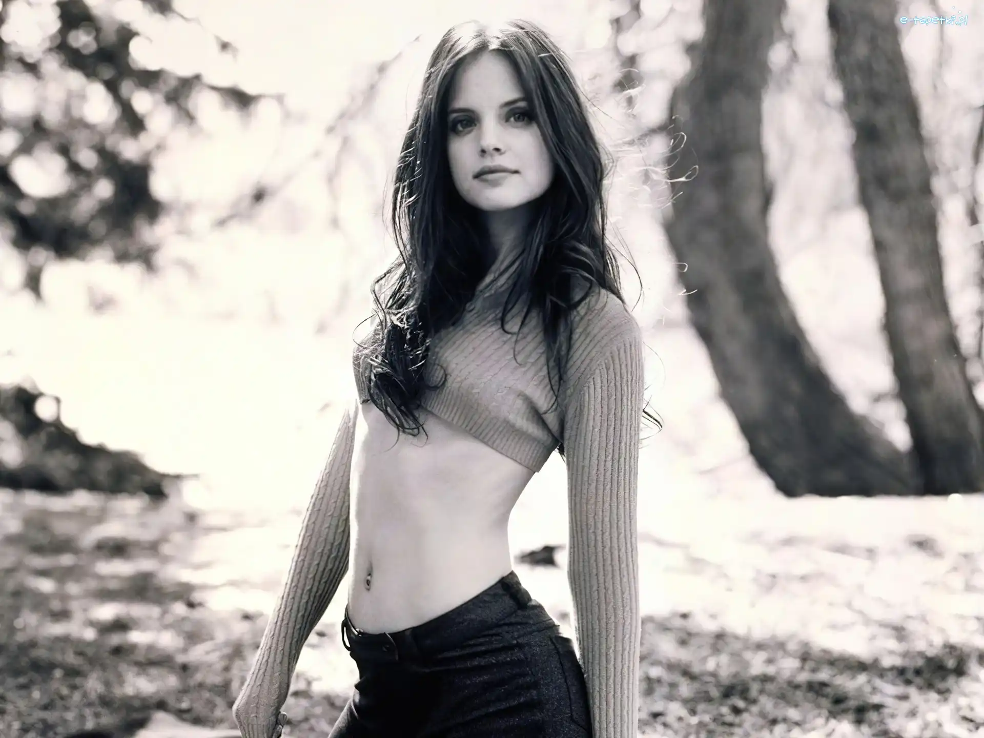 Drzewa, Mena Suvari
