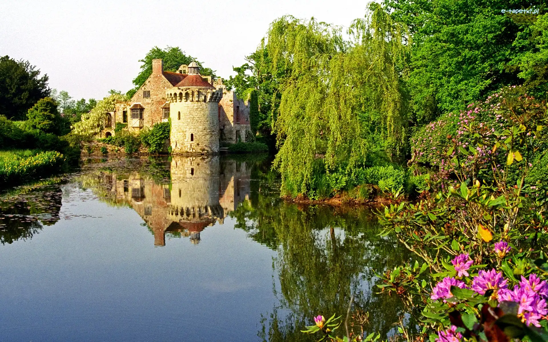 Kent, Kwiatki, Drzewa, Anglia, Jeziorko, Zamek
