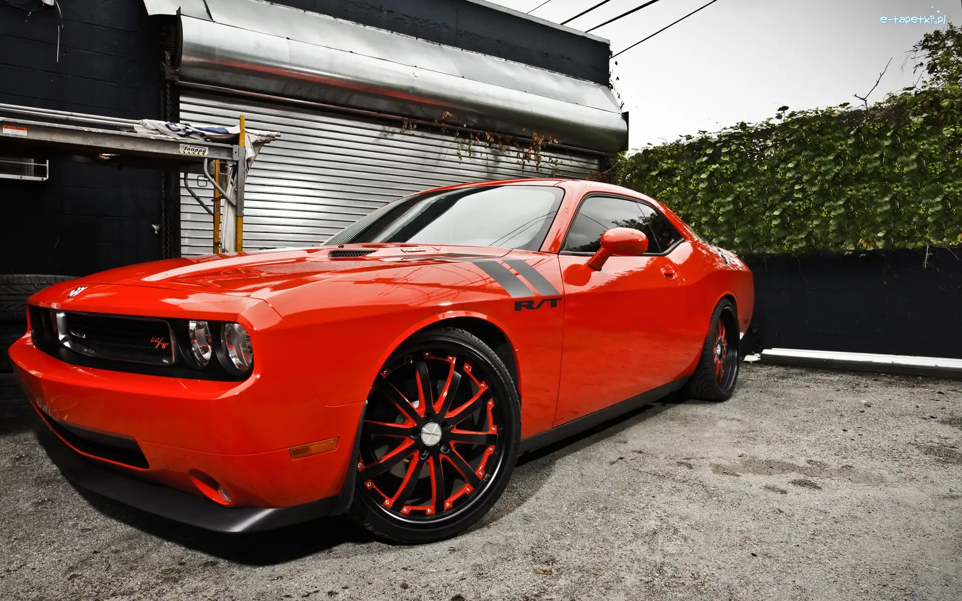 Duże, R/T, Pomarańczowy, Felgi, Challenger, Dodge