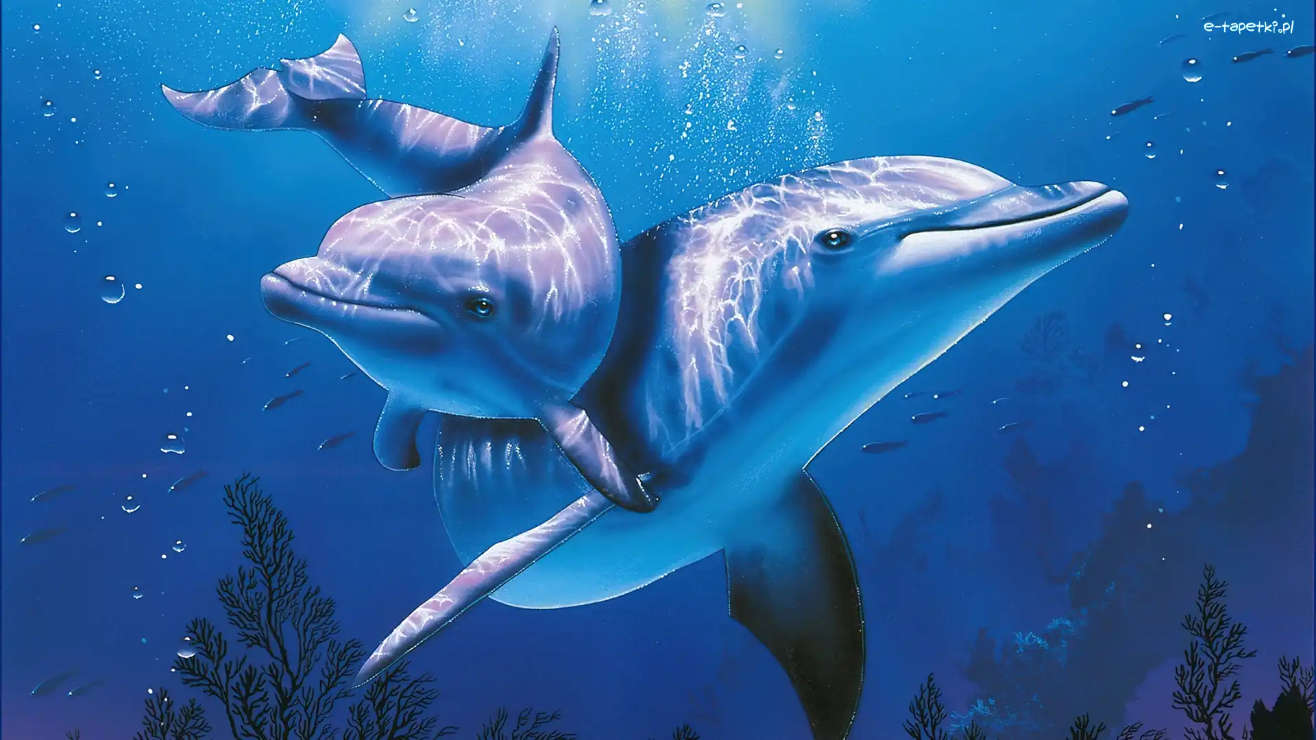 Delfiny, Woda