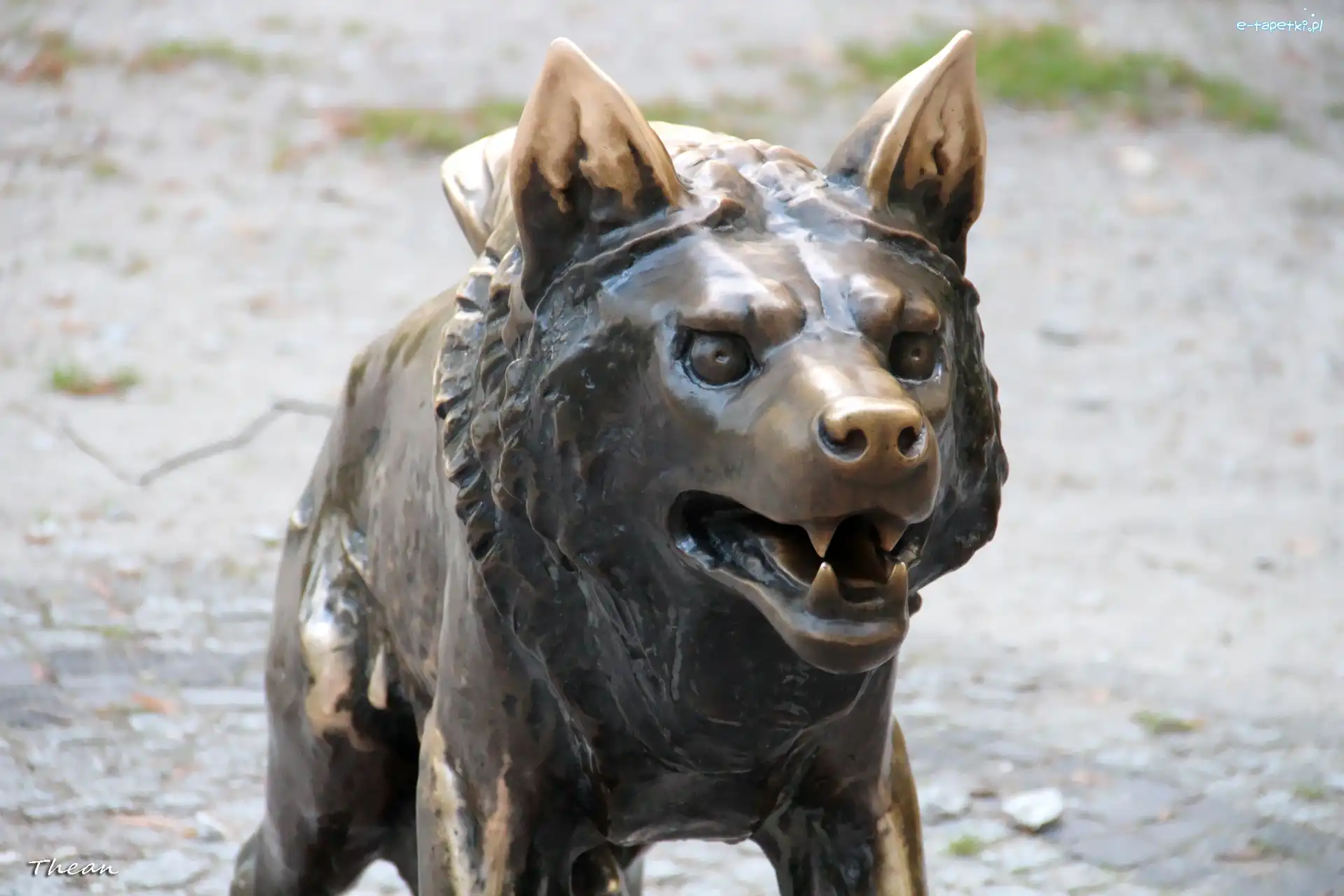 Rzeźba, Poznań, Stare Zoo, Wilk