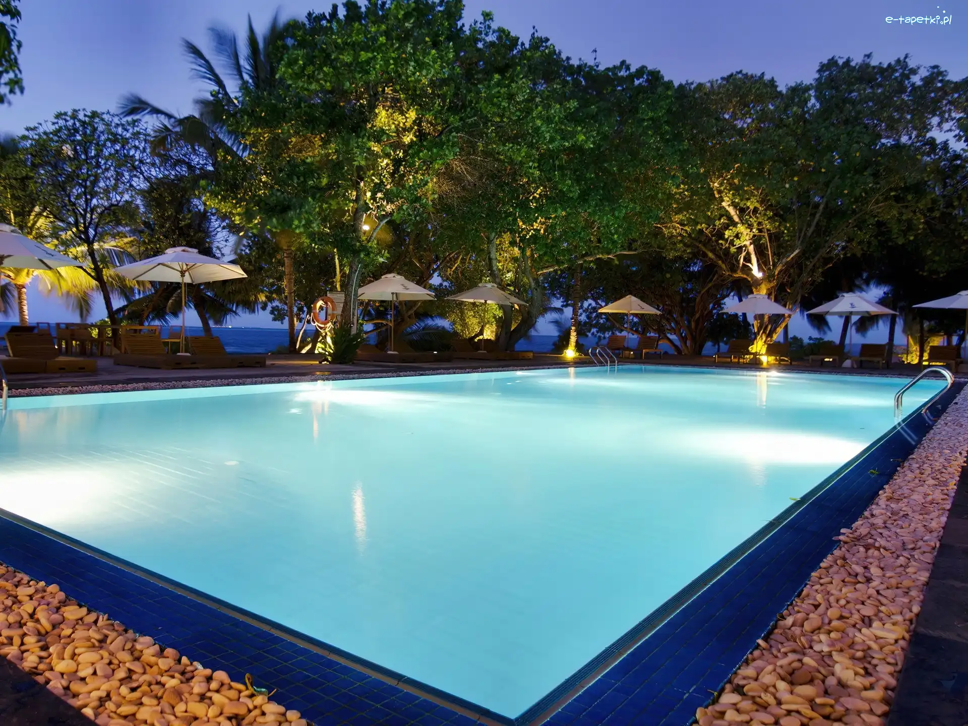 Hotel, Drzewa, Basen, Malediwy, Morze