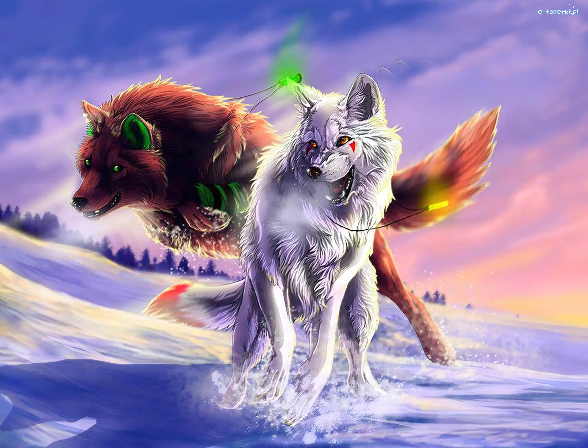 Wilki, Zachód, Las, Fantasy, Słońca