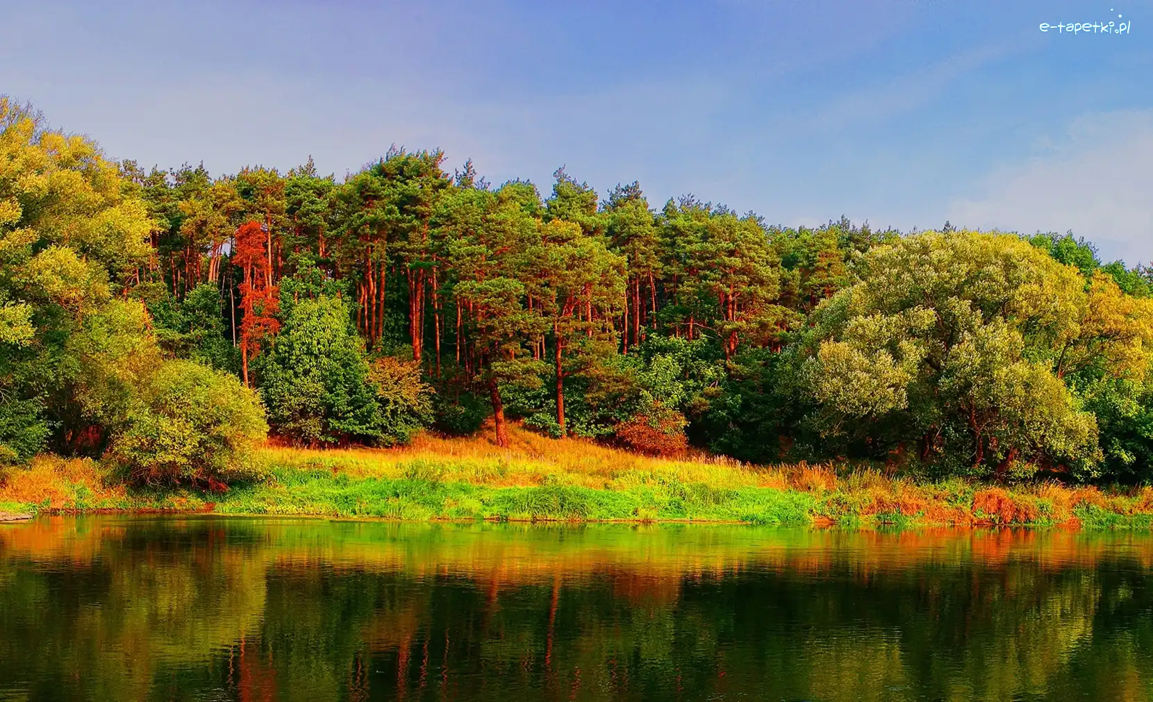 Jezioro, Las