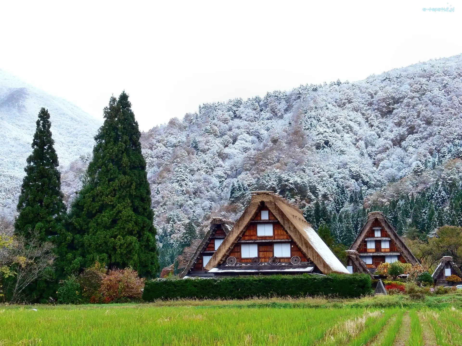 Domki, Lasy, Góry