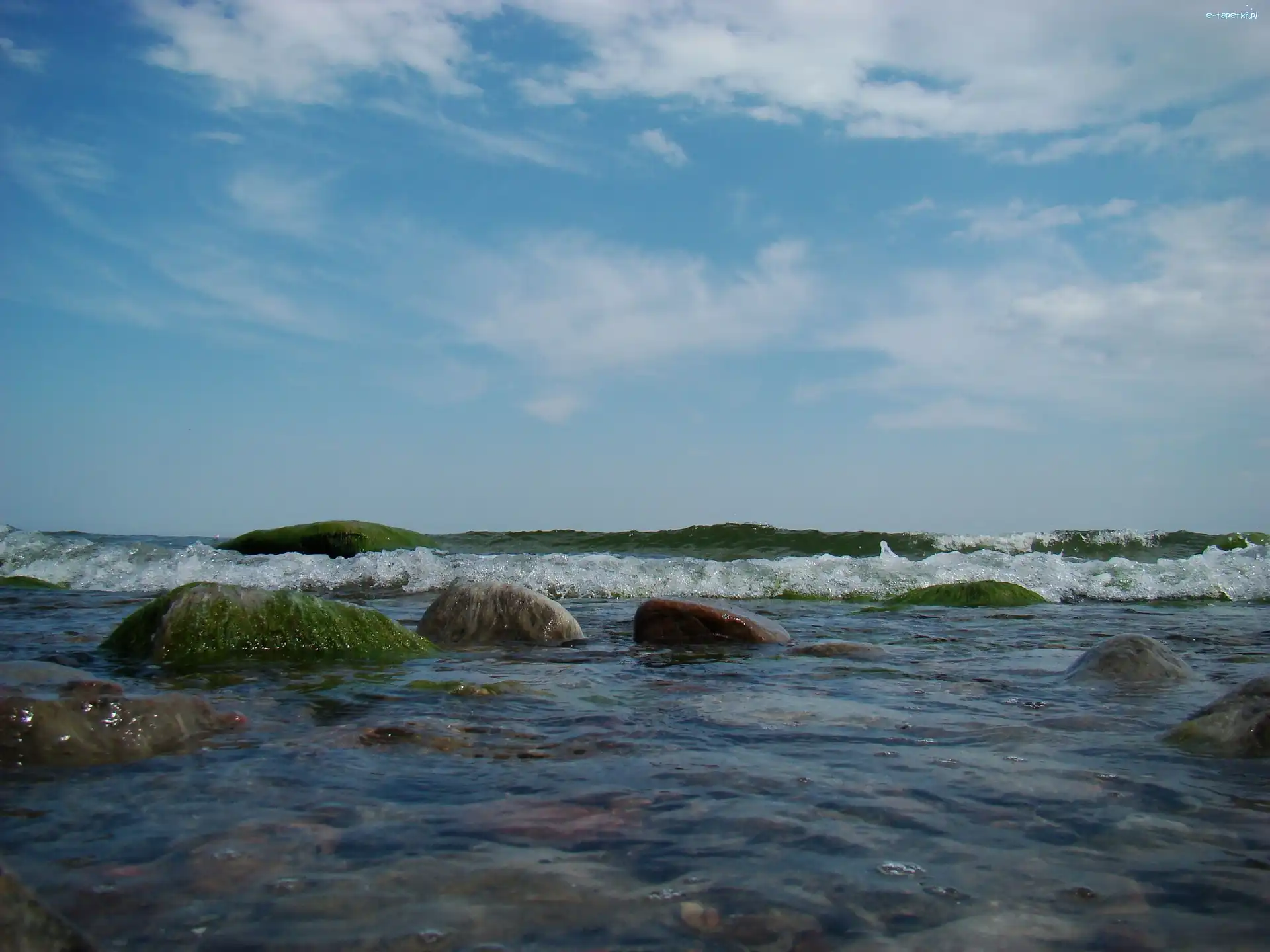 Kamienie, Fala, Gdynia Orłowo