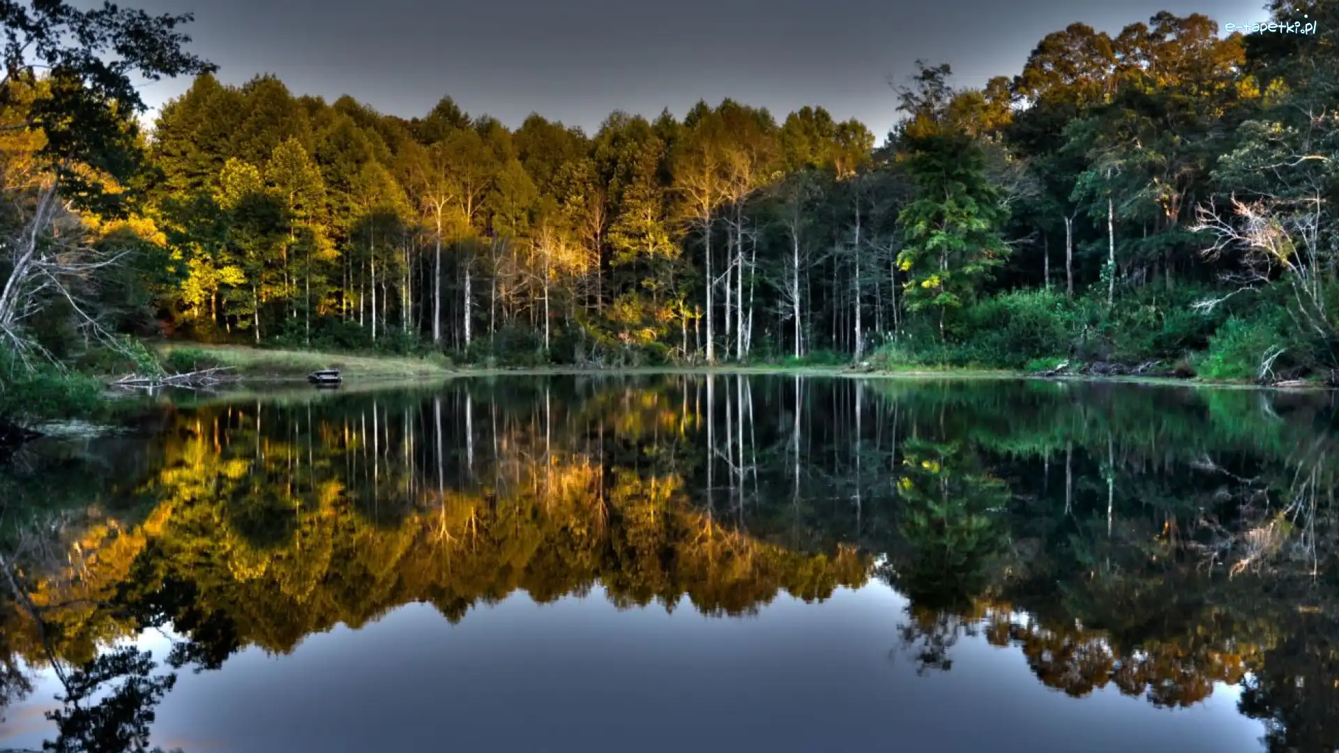 Odbicie, Jezioro, Las