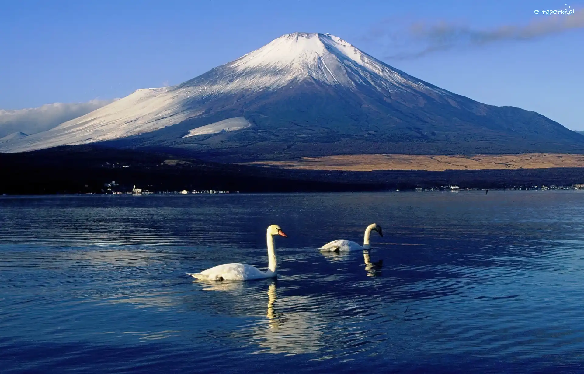 Jezioro, Góra, Łabędzie, Japonia, Fudżi