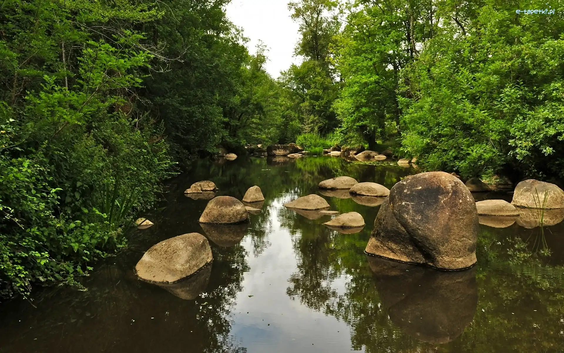 Kamienie, Rzeka, Las