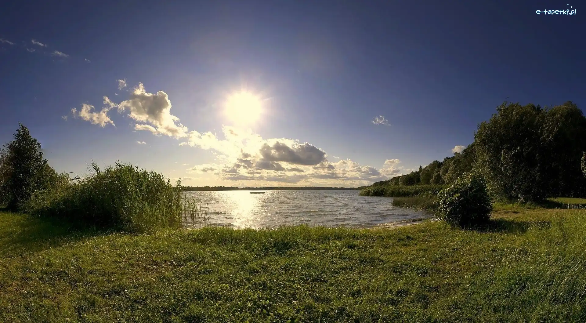 Jezioro, Trawa, Drzewa, Chmury, Słońce
