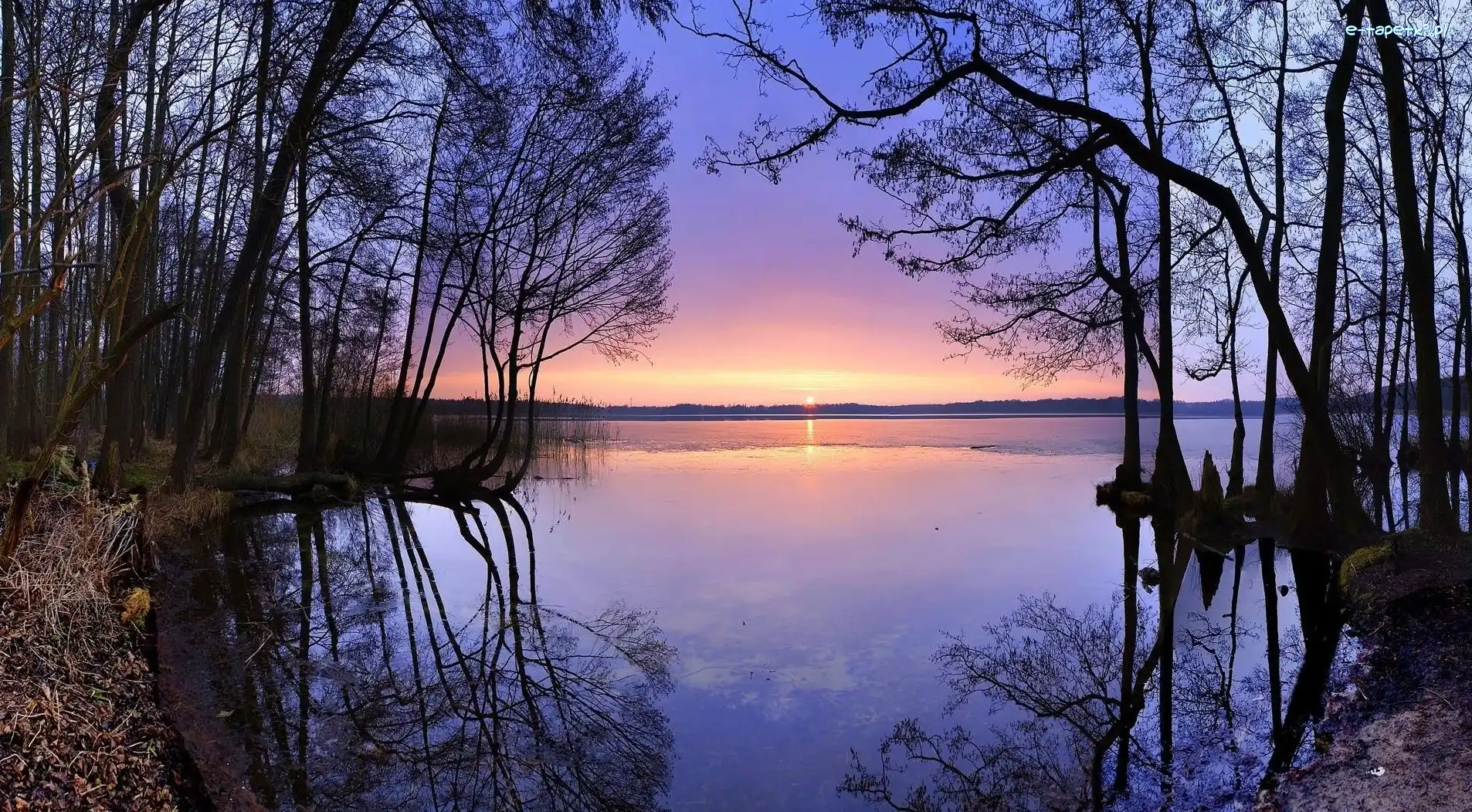 Zachód, Drzewa, Słońca, Jezioro